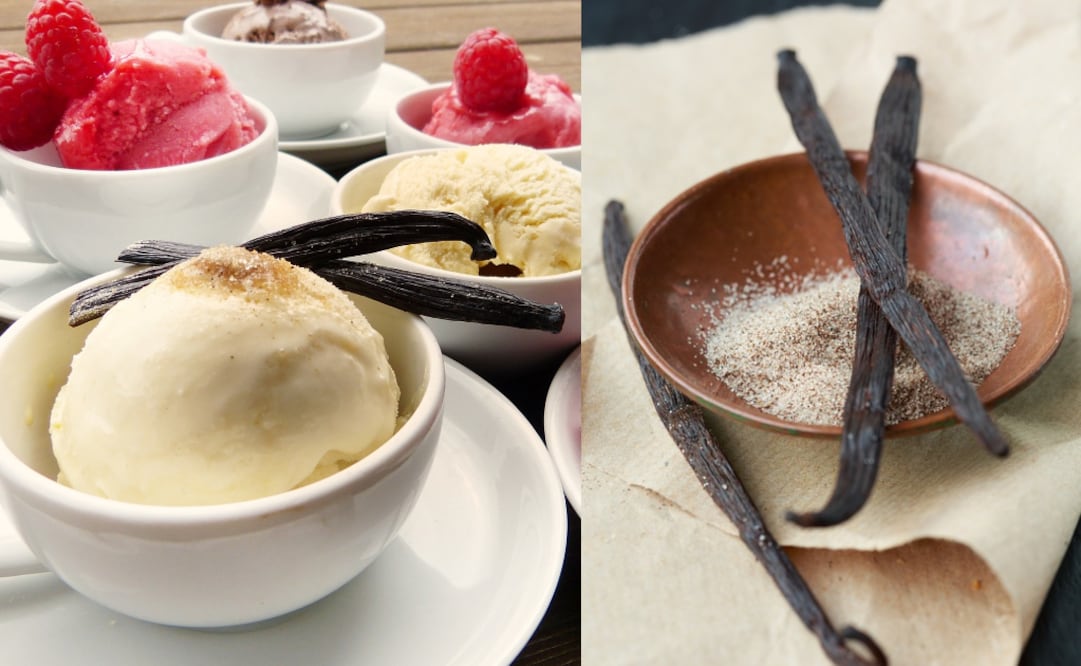 Foto: Pixabay/ Vanilla natural. Ingrediente