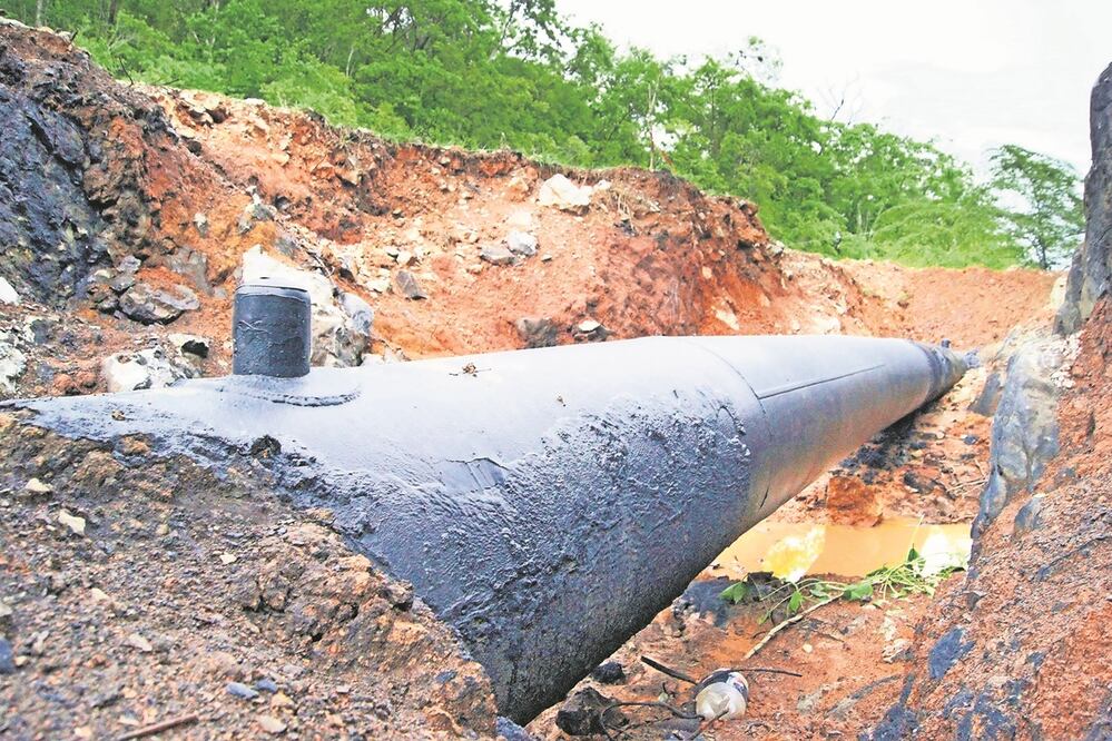 Foto: Archivo. EL UNIVERSAL