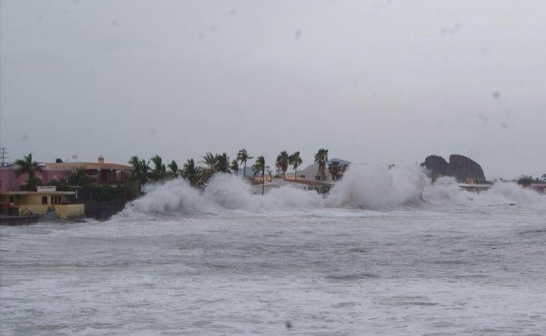 Imagen Ilustrativa: Archivo / EL UNIVERSAL