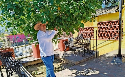 Árboles del futuro: siembra vida y conciencia