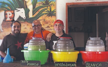 Pulquerías tradicionales y modernas buscan proteger la bebida prehispánica