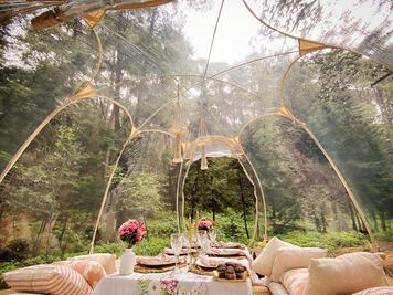 Qué es y cuánto cuesta el bubble glamping en un bosque de CDMX