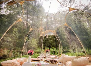 Qué es y cuánto cuesta el bubble glamping en un bosque de CDMX