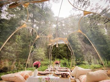 Qué es y cuánto cuesta el bubble glamping en un bosque de CDMX