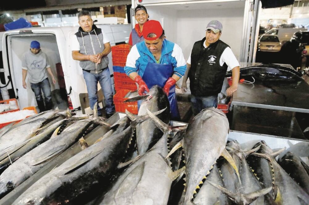 De acuerdo con un experto en biología marina, el hallazgo de soya en latas de atún da cuenta de que existe sobrepesca del producto (ARCHIVO EL UNIVERSAL)