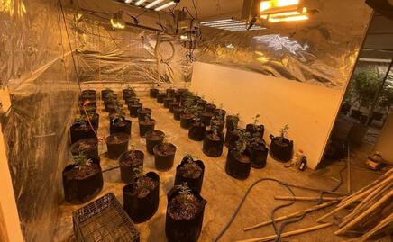 Informe Mundial sobre Drogas de la ONU revela consumo y producción en niveles históricos; aquí 10 puntos clave