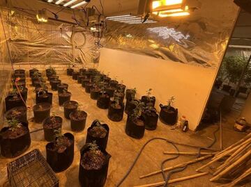 Informe Mundial sobre Drogas de la ONU revela consumo y producción en niveles históricos; aquí 10 puntos clave