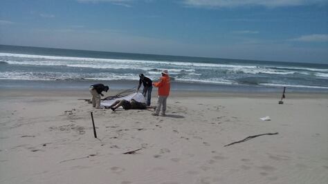 Recuperan en costas de Oaxaca cuerpo de africano ahogado en naufragio
