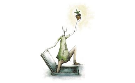 La marihuana se prepara para su regreso