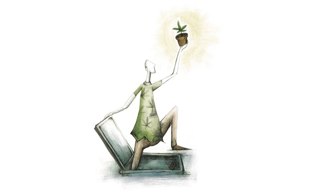 Las victorias legales en la Corte abrieron el debate para 2016 sobre la posible despenalización (Ilustración: ROSARIO LUCA)