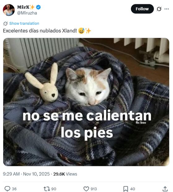 Muchos internautas ya han compartido en las redes sociales sus mejores memes. Foto: Captura de pantalla X.