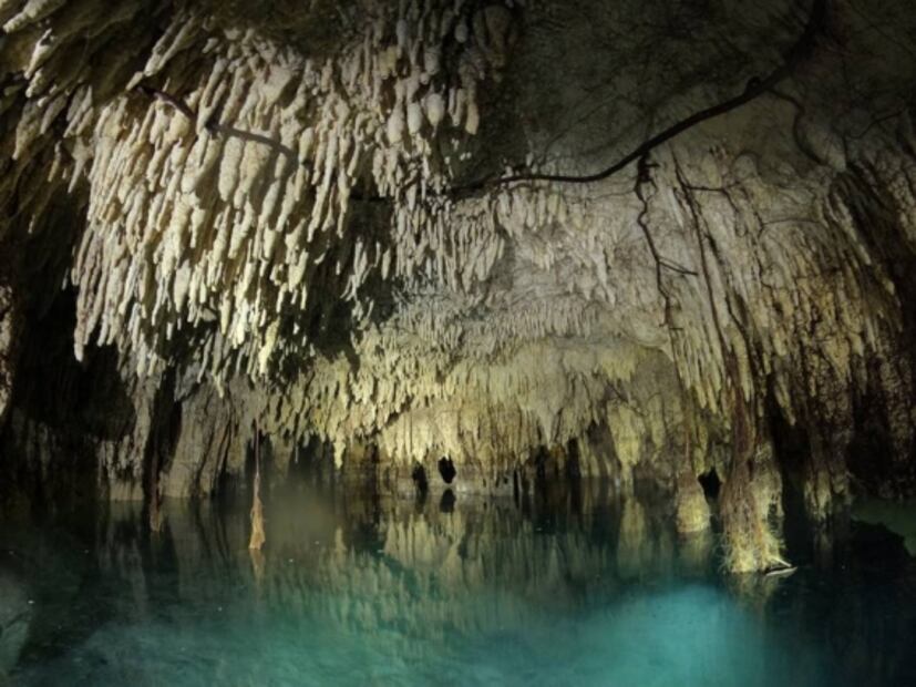 Cenotes: puertas al inframundo mexicano