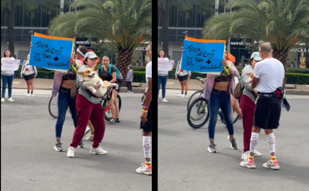 Un corgi que capturó la atención de los corredores y del público. Foto: Captura de pantalla en X