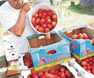 Washington valida acuerdo para comercio de jitomate