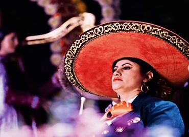 Garibaldi's harsh reality