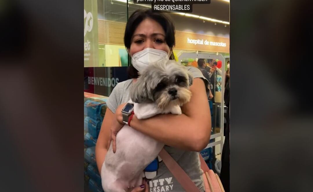 Denuncia que a su perrita le cortaron el ojo en Petco