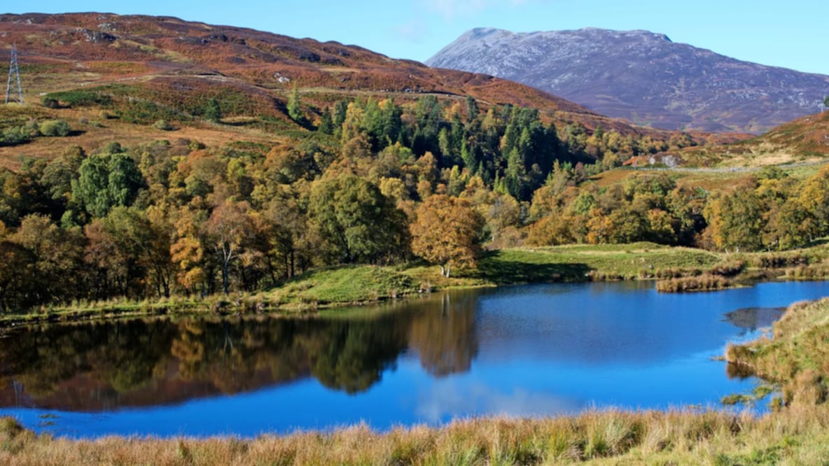 Foto: Julie Fryer Images/Alamy vía BBC