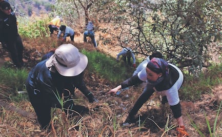“No pueden limitar los lugares dónde buscar”; buscadores denuncian trabas de autoridades