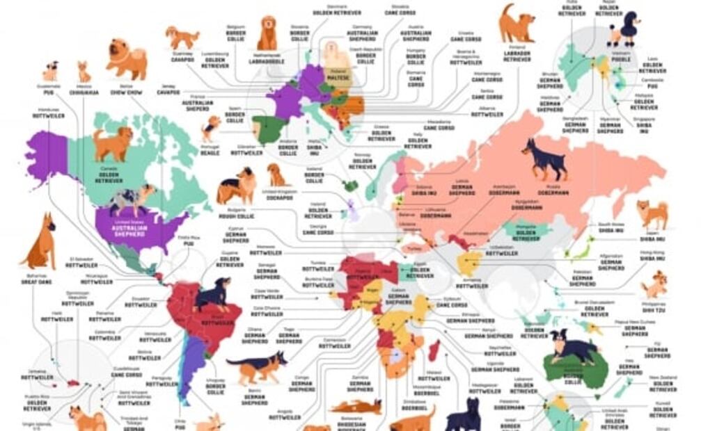 Este mapa muestra las razas de perros más populares del mundo