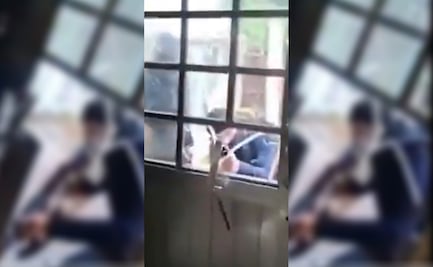 Alianza de Medios Mx lanza llamado tras privación de la libertad de periodista Roxana Guzmán; sujetos armados ingresan a su casa