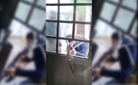 VIDEO: Alianza de Medios Mx lanza llamado tras privación de la libertad de la periodista Roxana Guzmán; sujetos armados ingresan a su casa