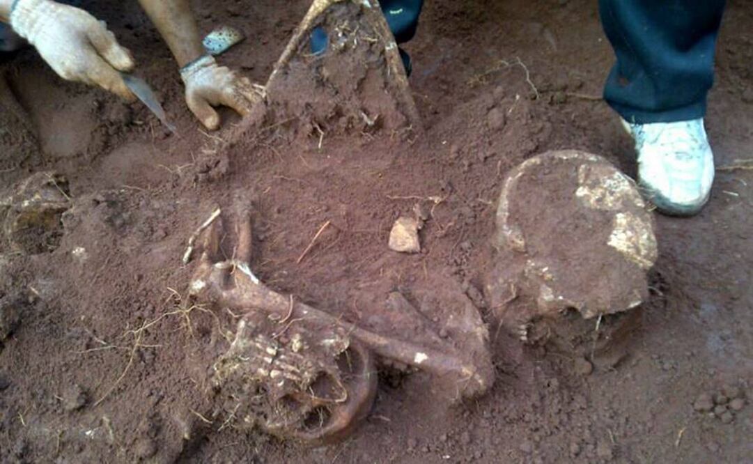 (Foto: Archivo/ EL UNIVERSAL)