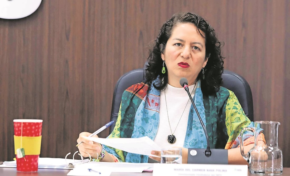 La comisionada María del Carmen Nava aseguró que el gobierno local ha destinado un monto considerable en apoyos durante la pandemia. Foto: ARCHIVO EL UNIVERSAL