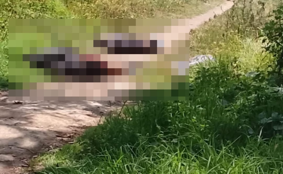 Hallan a tres jóvenes ejecutados en Temamatla. Foto: Especial