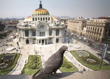 Suspenden fase I de Contingencia