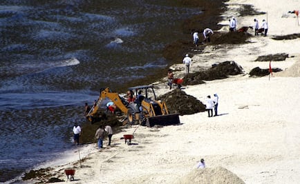 Seaweed threatens the Mexican Caribbean