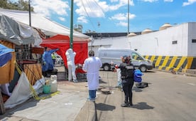 ¡De no creer! Se registran dos ataques de perros en la CDMX, hay un niño herido y un hombre muerto