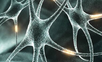 Omega-3 podría frenar desarrollo de esquizofrenia