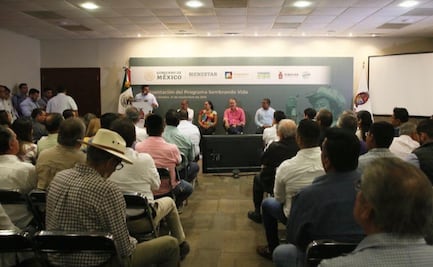 Sembrando Vida llega a Sinaloa; ayudará a quien se dedique a "actividades ilícitas"