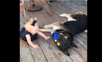 Familia vuelve a casa y la encuentra llena de sangre; su perro atacó a ladrón