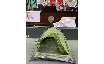 Casas de campaña, agresiones y gritos: saldo de eliminación de fideicomisos en Cámara de Diputados