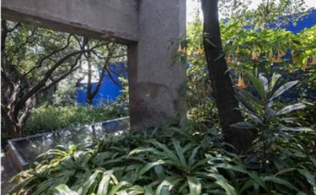 "Parte de mi chamba será recuperar la relación con la Fundación Barragán"