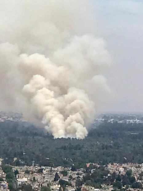 Tras casi 8 horas controlan incendio en Parque Ecológico de Xochimilco