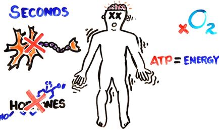 ¿Qué pasa en tu cuerpo cuando mueres?