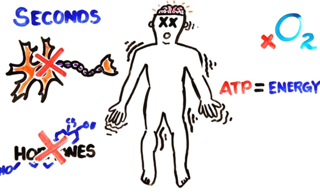 El canal de YouTube Asapscience se enfoca en este tema para explicar en video. (FOTO: Youtube)