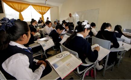 OCDE pide agregar evaluación de ingreso a leyes secundarias de Reforma Educativa 