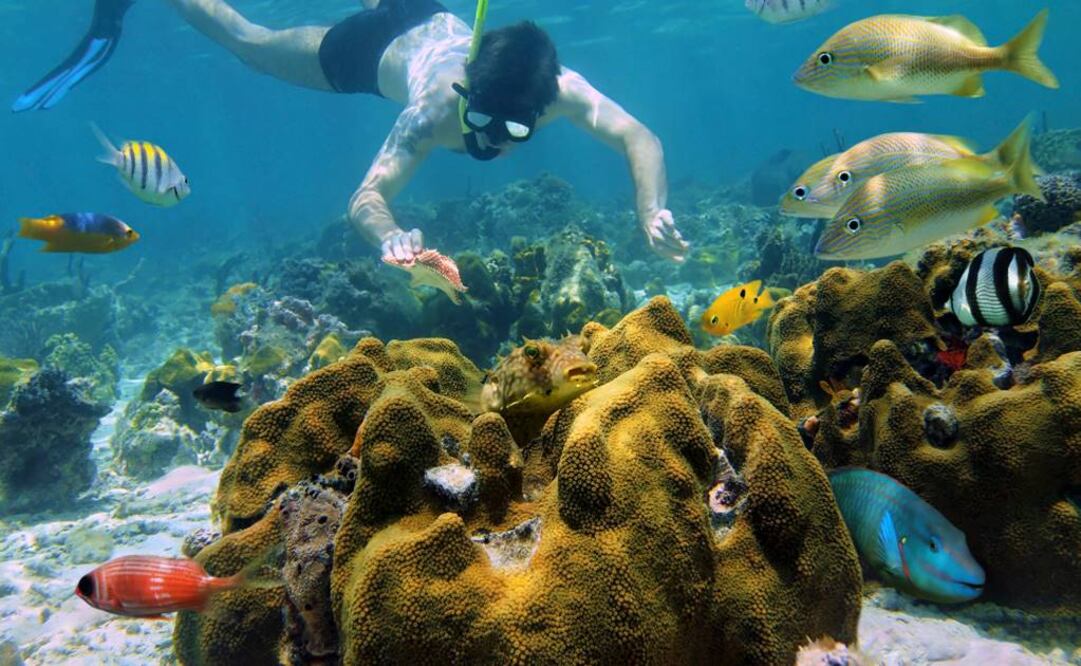 La oxibenzona está presente en más de 3 mil 500 productos de protección solar en todo el mundo. Foto: Archivo