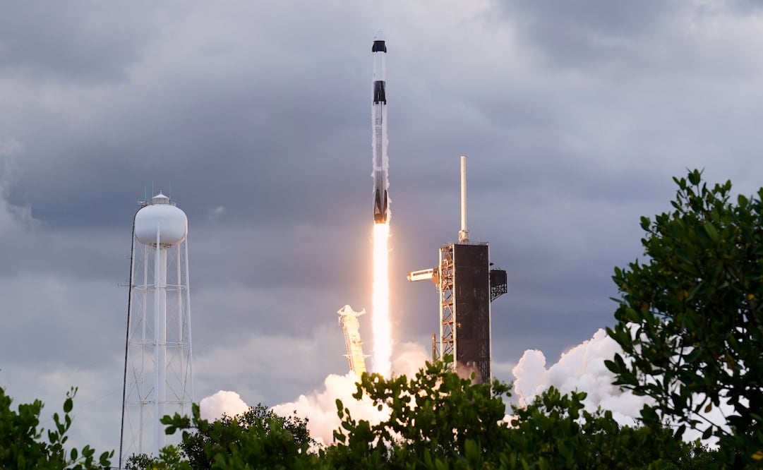SpaceX programa nuevo lanzamiento Starship. Foto: AP