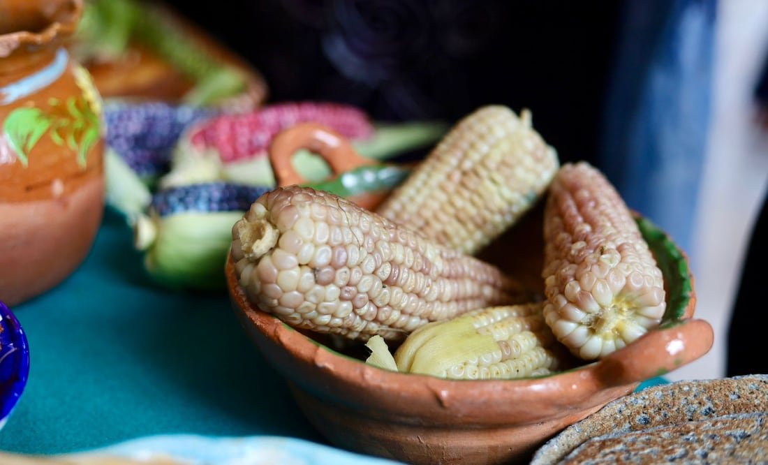 Del campo a tu plato: el maíz criollo de Santa Ana Tlacotenco es el protagonista de esta feria. Foto: Cuenta oficial de X @GobMilpaAlta