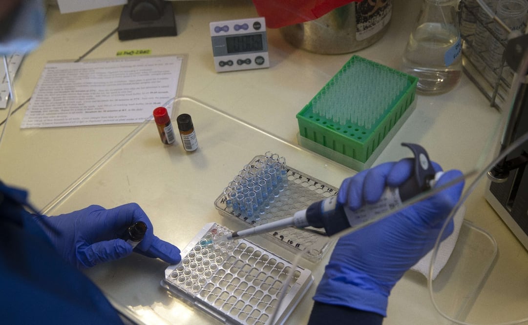 Foto: Karen Ducey/Getty Images/AFP, archivo