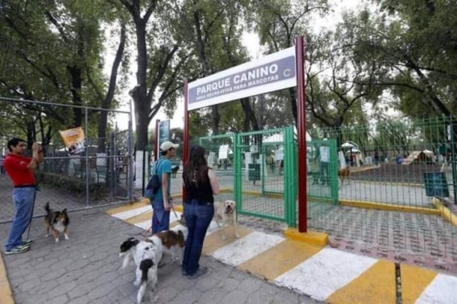 Estos son los mejores parques para perros en CDMX y Zona Metropolitana