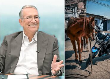 ¡Ya se puede jubilar! “Pancho”, caballo carretonero, conoce a su reemplazo; Salinas Pliego muestra tierna imagen