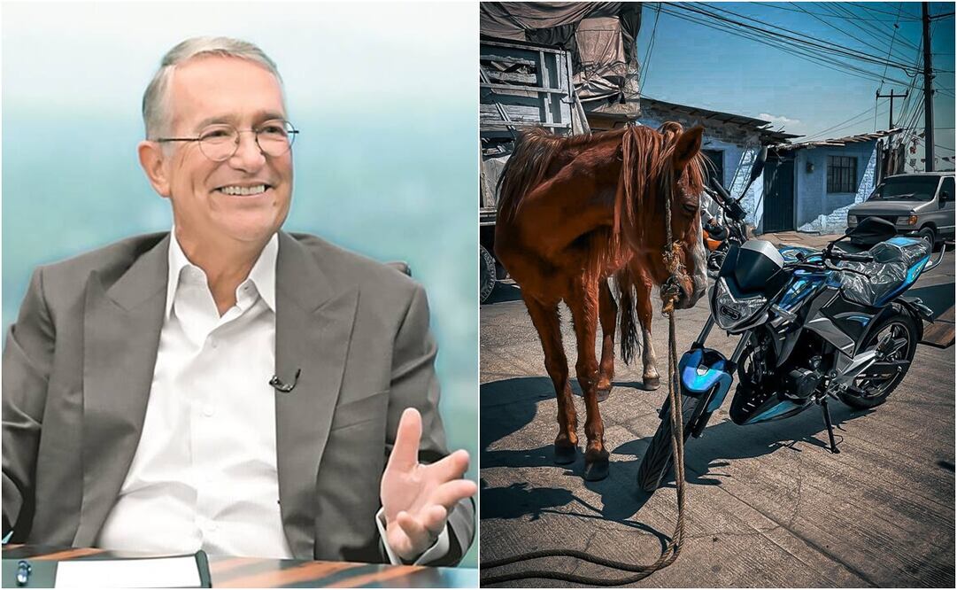 Por medio de la plataforma X, el fundador de Grupo Salinas mostró una épica imagen de “Pancho” conociendo a su reemplazo. Foto: X