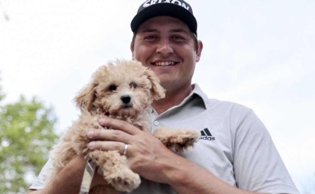 Golpes de calor en primavera también afectan a tus mascotas