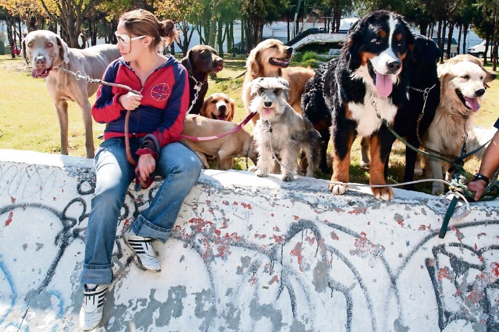 De acuerdo con la empresa Kmimos, sólo 20% de los candidatos que aplican para ser cuidador aprueban el proceso. La compañía busca consolidar una red de entre 2 mil 500 a 3 mil cuidadores para el siguiente año (ARCHIVO EL UNIVERSAL)