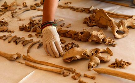 Osteología. Los huesos hablan desde lo más remoto